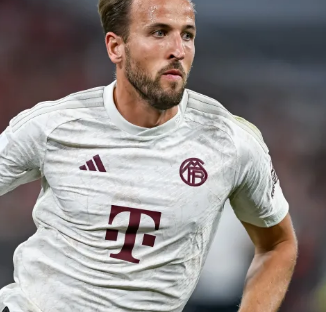 乐部总监亲 乐部总监亲